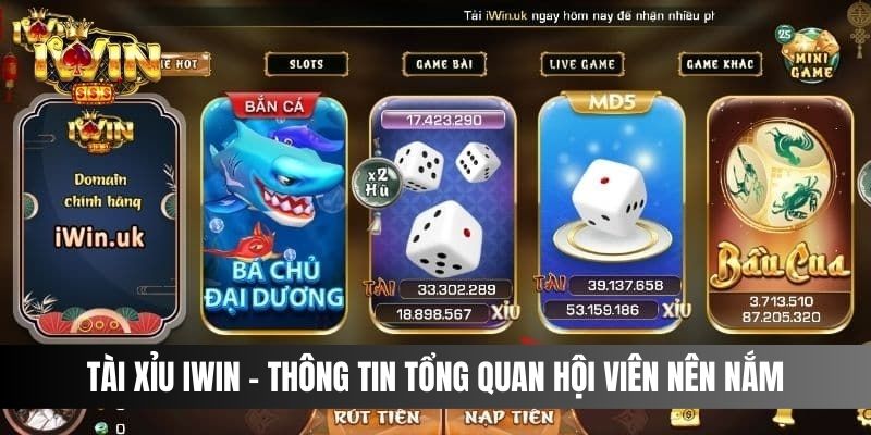 Tài Xỉu IWIN - thông tin tổng quan hội viên nên nắm