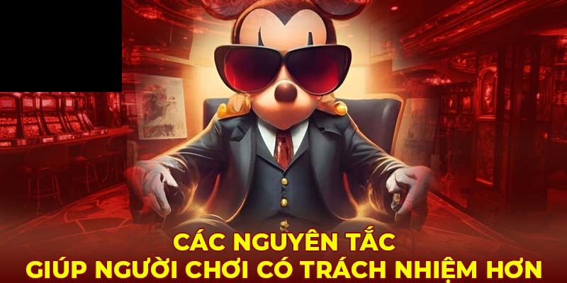 Tổng hợp những nguyên tắc cần nhớ để tuân thủ trách nhiệm người chơi
